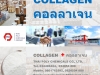 คอลลาเจน เปปไทด์, Collagen Peptide, คอลลาเจน เพพไทด์