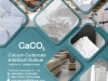 Calcium Carbonate, CaCO3, Food Grade, Food Additive, E170