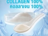  คอลลาเจน ไตรเปปไทด์, Collagen Tripeptide, คอลลาเจน