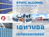 เอทานอล, Ethanol, เอทิลแอลกอฮอล์, Ethyl alcohol