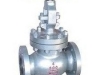 GLOBE VALVES SUPPLIERS IN KOLKATA